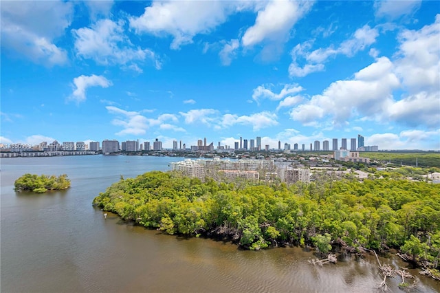 bird's eye view featuring a water view