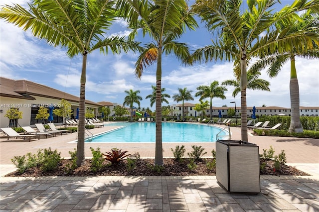 view of pool featuring a patio