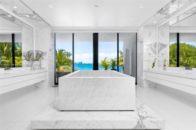 bathroom with plenty of natural light, vanity, and a washtub