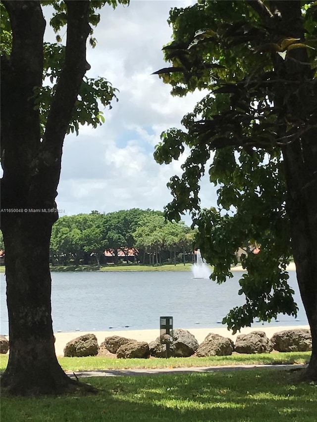 view of water feature