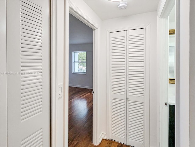 hallway with dark hardwood / wood-style flooring