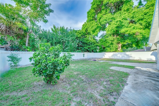 view of yard featuring a fenced backyard and a patio