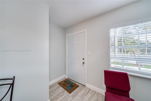 entrance foyer featuring light hardwood / wood-style flooring