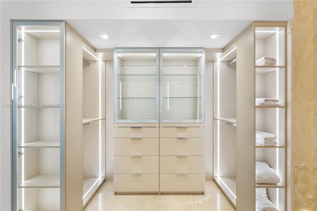 view of spacious closet