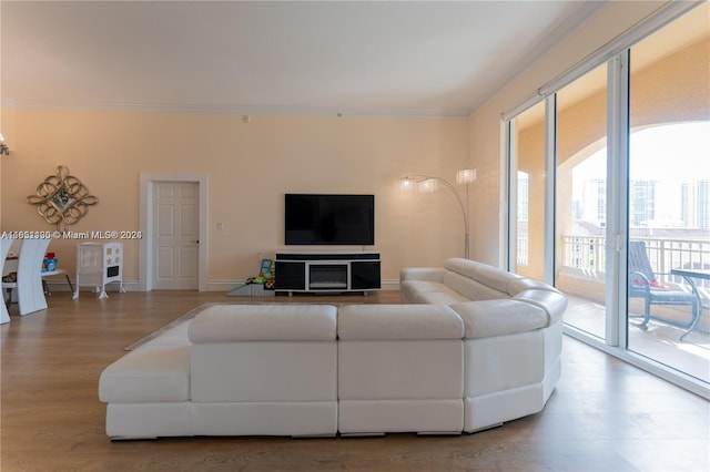 living room with ornamental molding and hardwood / wood-style flooring