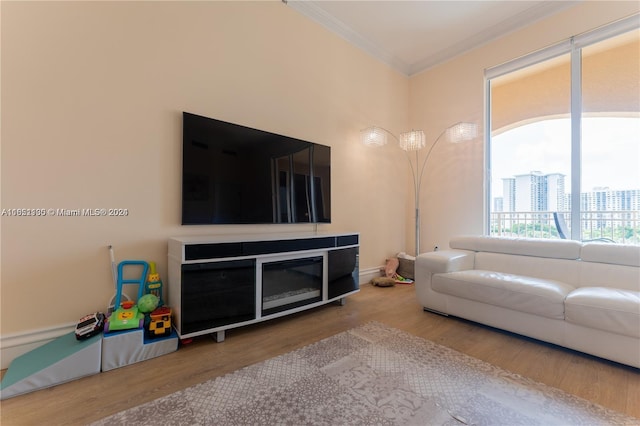 living room with hardwood / wood-style flooring and ornamental molding