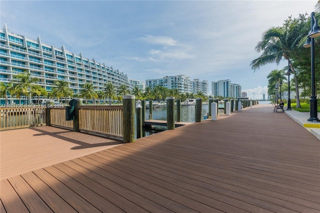 dock area with a water view