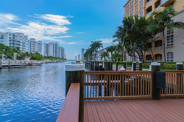 dock area with a water view