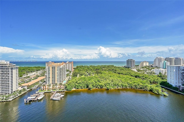 aerial view with a water view