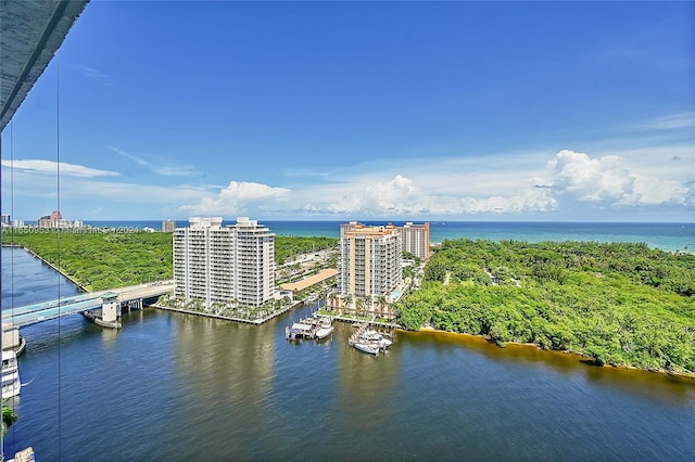 drone / aerial view with a water view