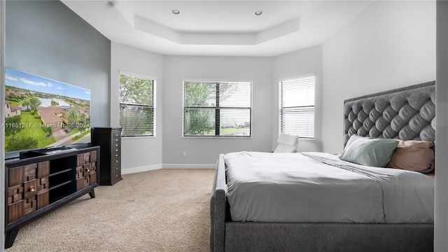 bedroom featuring a raised ceiling and light colored carpet