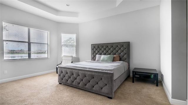 carpeted bedroom featuring a raised ceiling