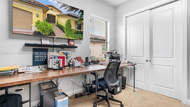 home office with plenty of natural light and light colored carpet