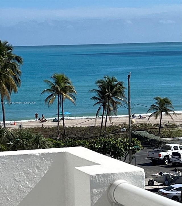 water view featuring a beach view