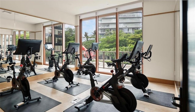 gym with floor to ceiling windows and light hardwood / wood-style flooring