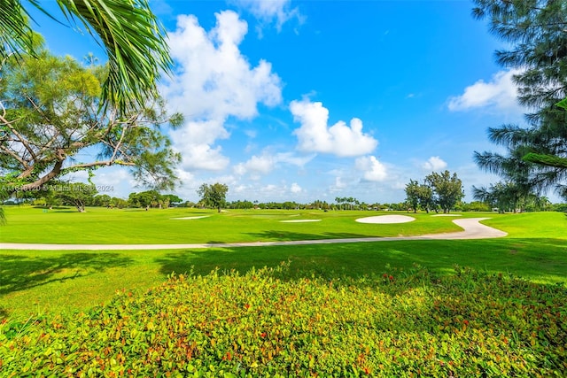 view of property's community with a lawn