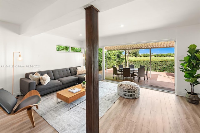 living room with a wealth of natural light and light hardwood / wood-style flooring