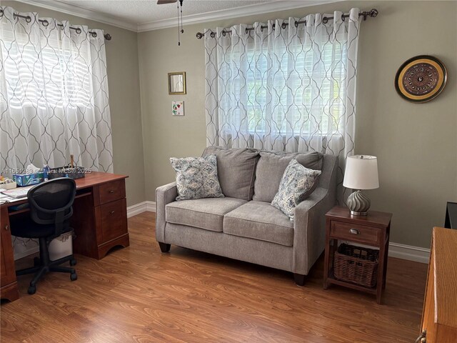 700 Layne Blvd Unit 212, Hallandale Beach, FL 33009 - home office with ornamental molding, light wood-style flooring, and baseboards