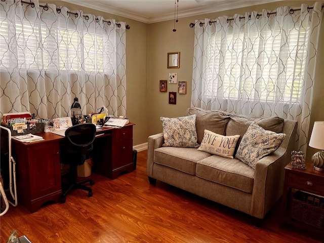 office space featuring wood-type flooring and ornamental molding