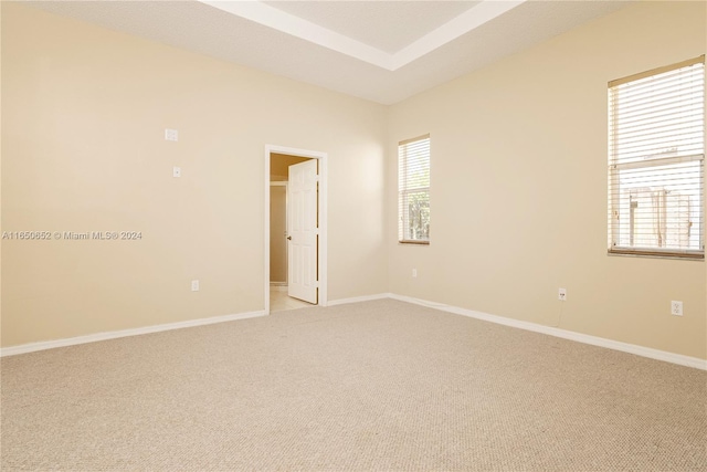 unfurnished room with carpet