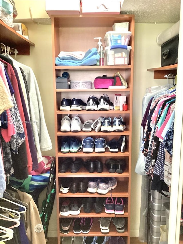 view of walk in closet