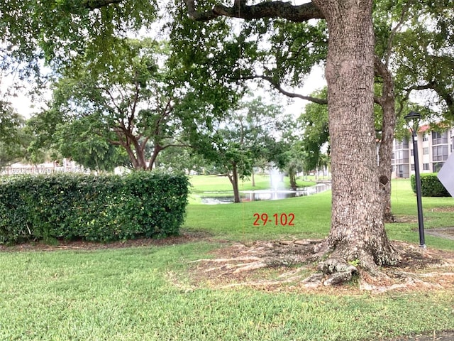611 S Hollybrook Dr Unit 102, Pembroke Pines, FL 33025 - view of grassy yard featuring a water view