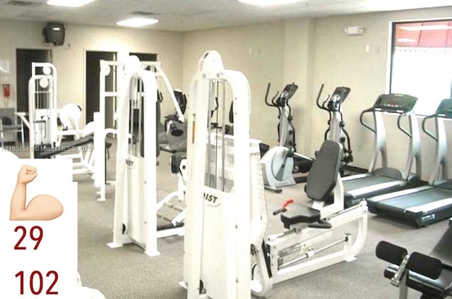 611 S Hollybrook Dr Unit 102, Pembroke Pines, FL 33025 - exercise room with carpet flooring