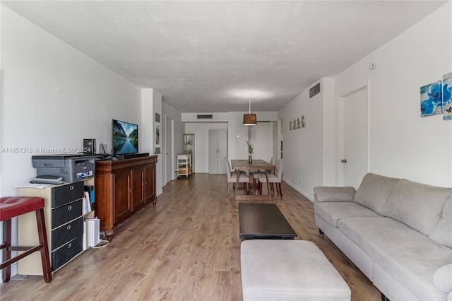living room featuring light hardwood / wood-style flooring