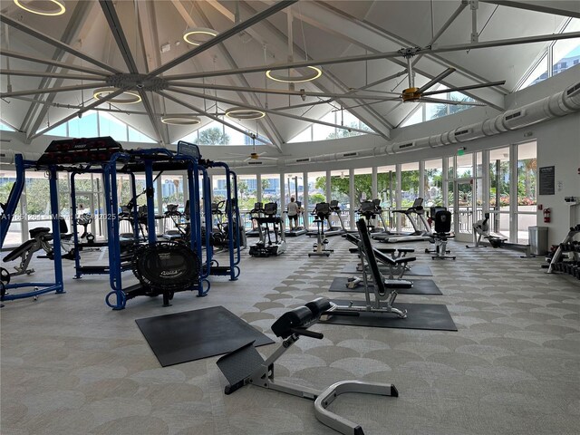 exercise room with plenty of natural light and vaulted ceiling