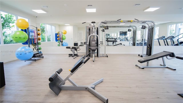 exercise room featuring a healthy amount of sunlight and hardwood / wood-style floors