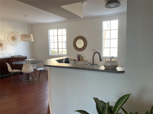 kitchen with pendant lighting, sink, crown molding, dark hardwood / wood-style floors, and kitchen peninsula