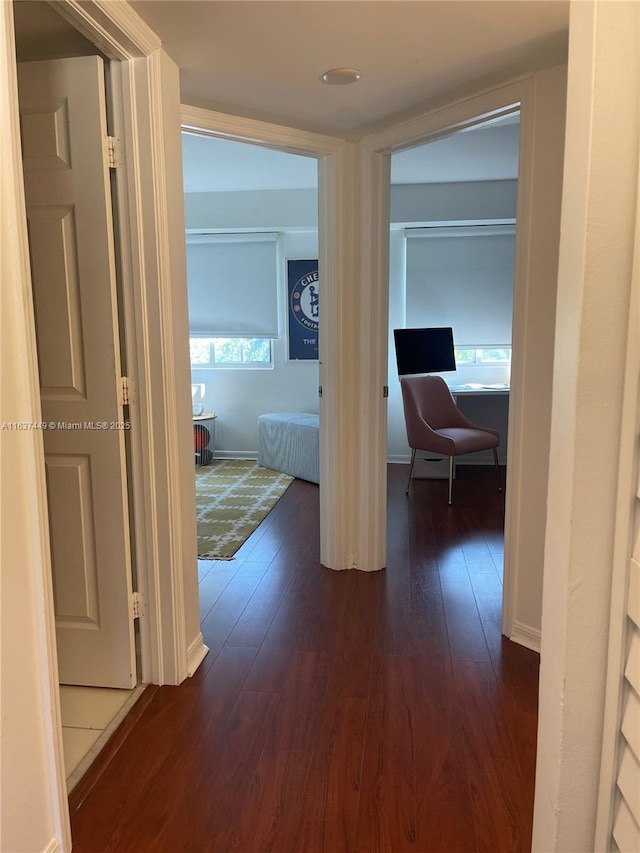 hallway featuring dark wood-type flooring