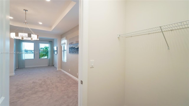 spacious closet with a tray ceiling and light colored carpet