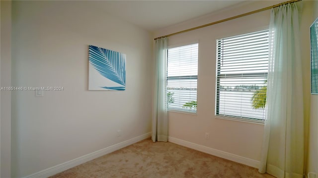 spare room featuring plenty of natural light and light colored carpet