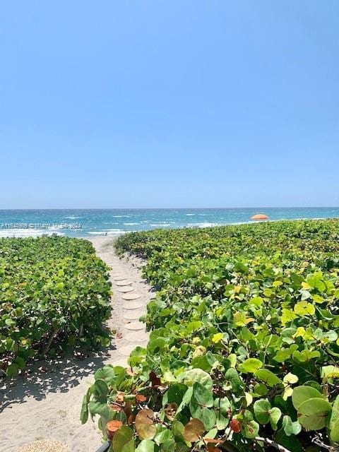 view of water feature featuring a beach view