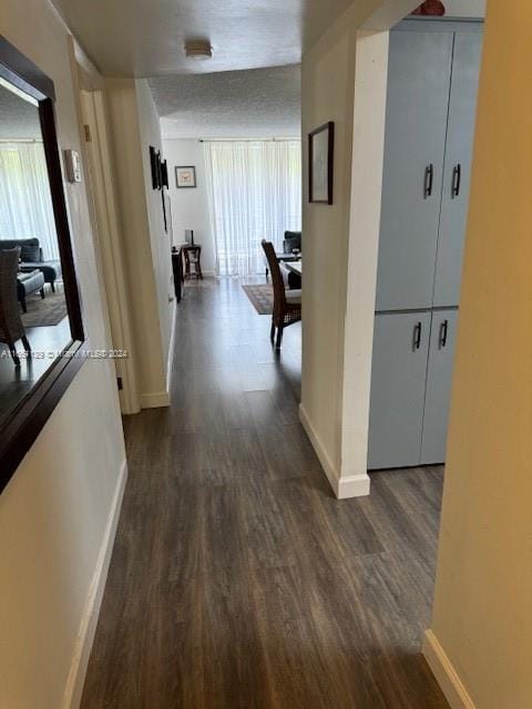 corridor featuring a textured ceiling, a healthy amount of sunlight, and dark hardwood / wood-style flooring