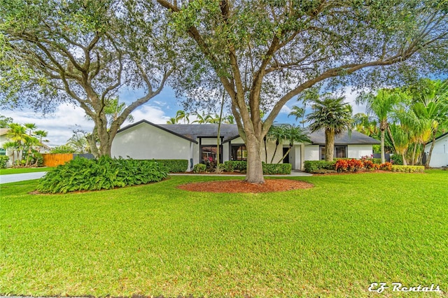 ranch-style home with a front yard