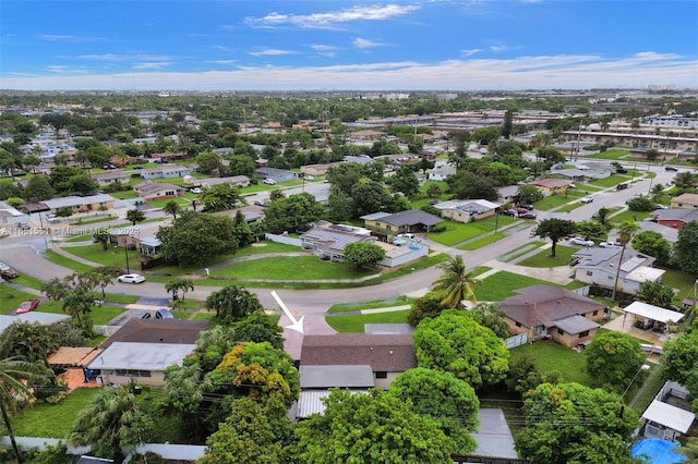 bird's eye view