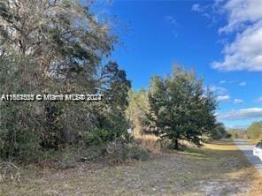 00000 SW 147th, Loop FL, 34473 land for sale