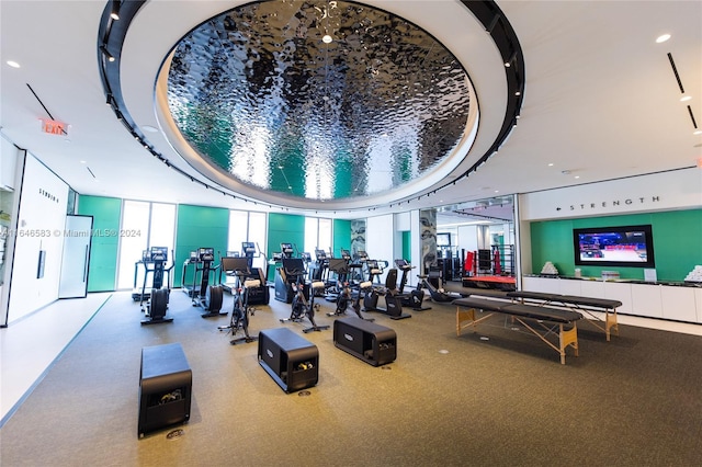 workout area with expansive windows and a raised ceiling