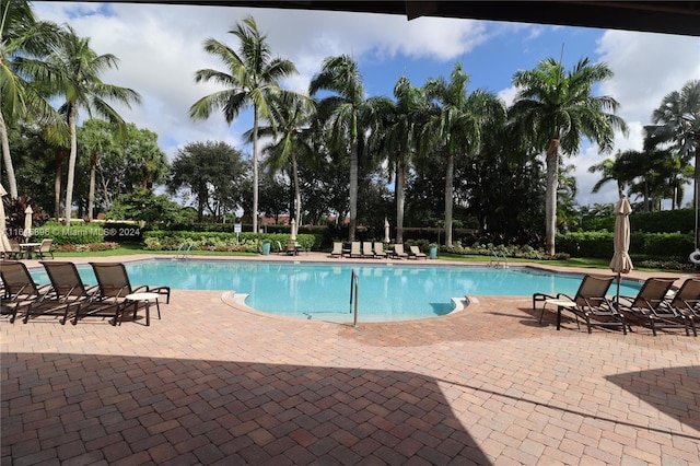 view of pool featuring a patio