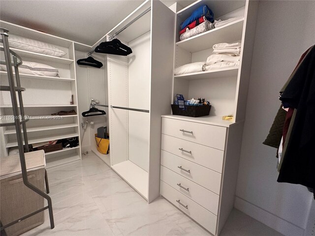 view of walk in closet