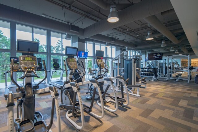 exercise room with carpet flooring