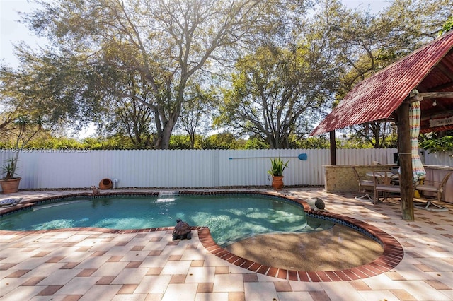 view of pool with a patio area