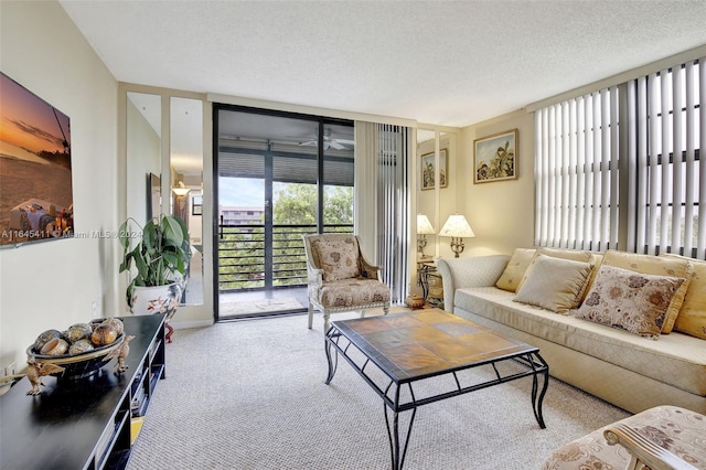 living room featuring a textured ceiling and light colored carpet