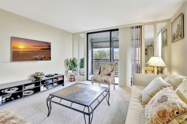 living room with carpet flooring and a textured ceiling