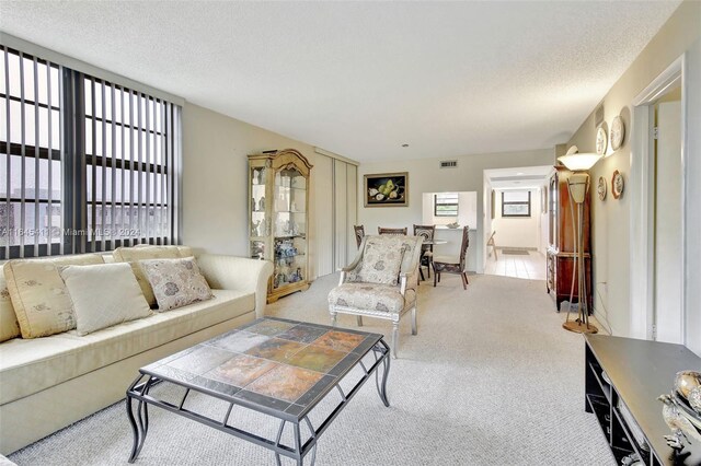 living room featuring a textured ceiling and light colored carpet