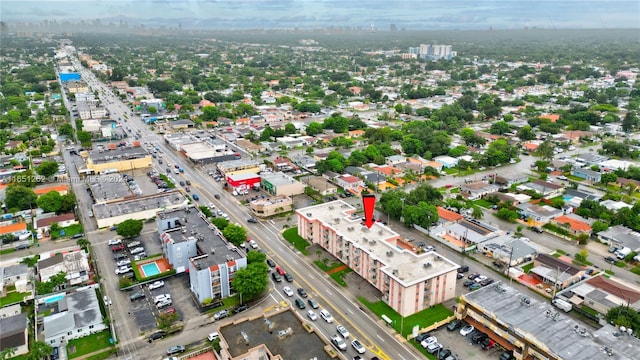 bird's eye view