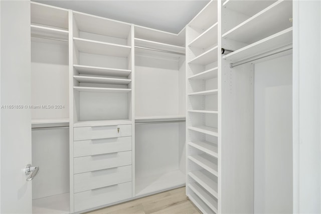 walk in closet featuring light hardwood / wood-style flooring