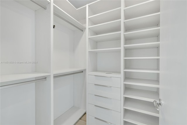 view of spacious closet